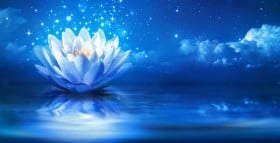 Meditative Ambient-Musik - Opening Flowers
