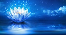Meditative Ambient-Musik - Opening Flowers