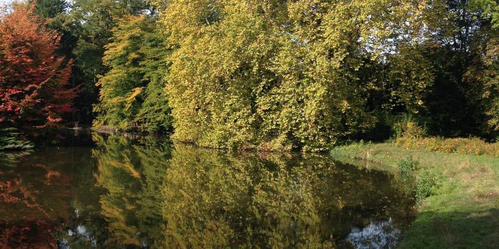 Musik für Entspannung, Wellness, Meditation