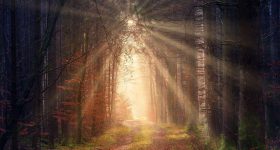 Rife-Frequenz mit 880Hz - Golden-Light ist eine atmosphärisch Meditationsmusik, die auf der Rife-Frequenz-880 Hz als Grundton basiert. In einer bestimmten Richtung der Naturheilkunde wird den Frequenzen nach Dr. Rife eine harmonisierende bzw. heilende Wirkung auf unser Immunsystem zugesprochen (weitere Informationen). Das Stück besteht aus einem langen Dur-Akkord mit kleinen Veränderungen und Variationen. Es ist kein Loop sondern von Anfang bis Ende durchkomponiert. Die Musik hat eine Gesamtlänge von 30 Minuten. Es genügt aber auch sie (je nach vorhandener Zeit), ausschnittweise anzuhören. BPM: 60