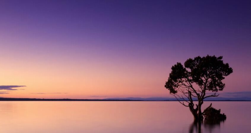 Mehrstündige Musik-Bundles