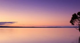 Rife-Frequenz mit 728 HZ