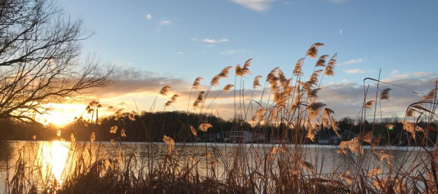 GEMA-freie Meditationsmusik Entspannungsmusik für Ihr Gewerbe – GEMA-frei und rechtssicher