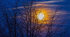 Heilsame Rife-Frequenz mit 1915 HZ 