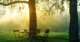 Entspannungsmusik mit einer Dauer von 20 bis 30 Minuten