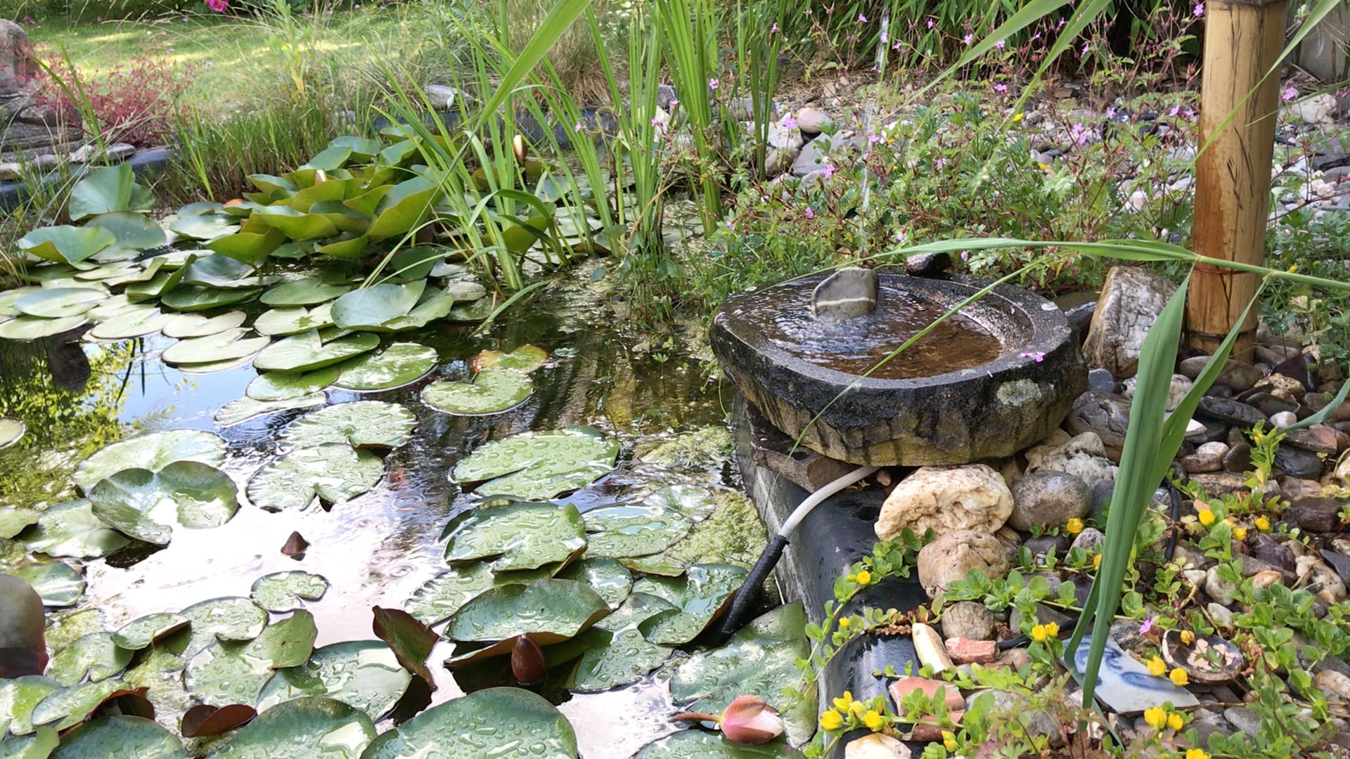 Musik für Entspannung, Wellness, Meditation