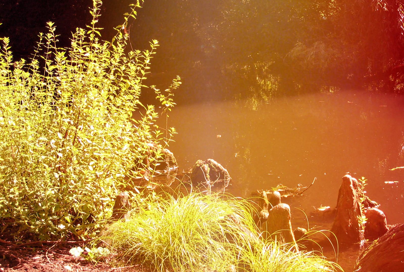 Musik für Entspannung, Wellness, Meditation Musik für Entspannung, Wellness, Meditation