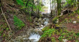 432 HZ-Musik Rast an einem Bergbach. Musik mit dem Klang fließenden Wassers